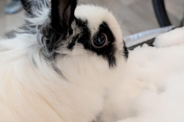 i brought some snow in for him to check out