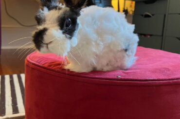 Y’all changed my life with this shop vac recommendation