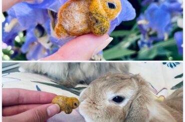 Handmade bunny trinkets