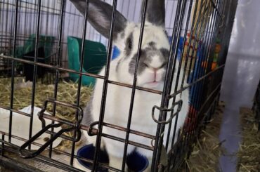 Ed (i love this boi sm)