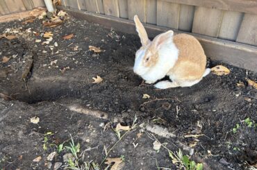 who dug that? it ain’t me