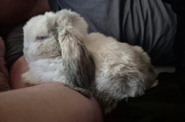 Compilation of Patches Pics