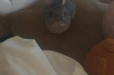 Do you ever feel like someone is watching you?