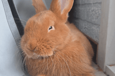 Trying really hard to stay awake