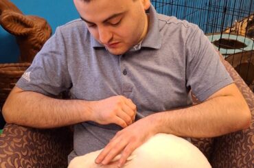 Me petting a rabbit at an animal sanctuary in upstate NY