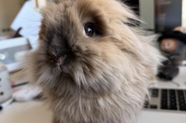 She’s a 10 but she has no thoughts