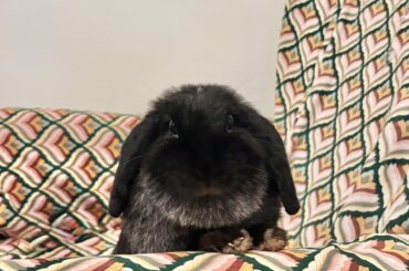 The face of someone who knows she’s not allowed there, but simply doesn't care 😎