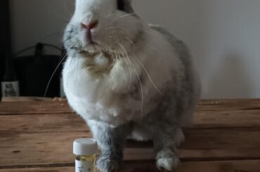 Little energy boost after GI