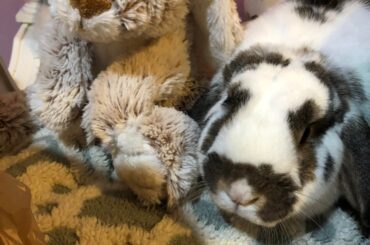 Snuggling with friends