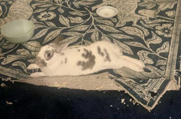 The art and the artist