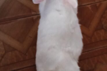 Too relaxed? Too chubby? Too cuddly? 😂