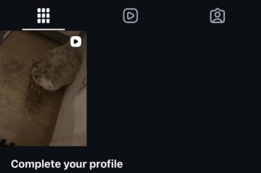 i made my bunny an instagram account