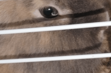 help me, he has something in his eye