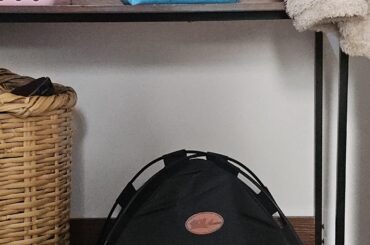 Pallets or Mix?, that is the question...