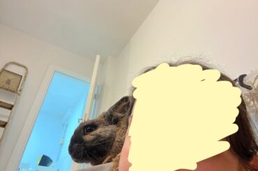 I laid down on the floor when I got home after a long day