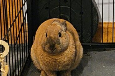 She looks so round when she sits like this