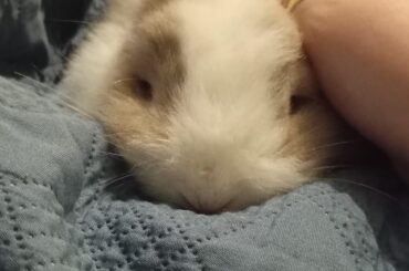 Winnie wanted to say he loves you