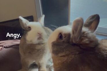 Chino's reflection looks MAD at him 😡😂