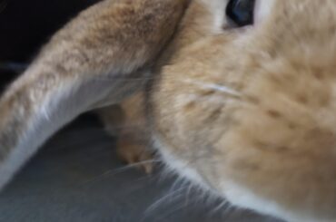 When you try to take a cute pic...