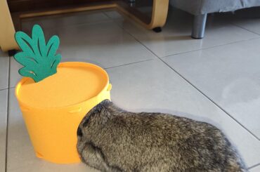 I'm sorry bro. I thought you can fit this...