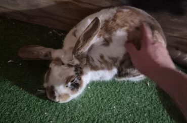 Snuggly bun tonight<3