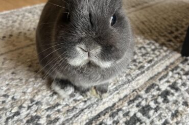 Someone loves to wait until mum is unemployed to have a medical problem!