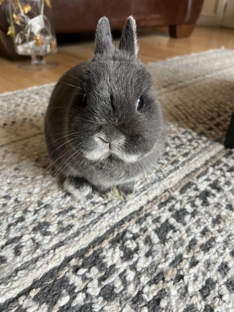 Someone loves to wait until mum is unemployed to have a medical problem!