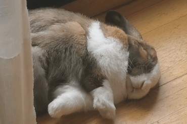 This is how you sleep! xD