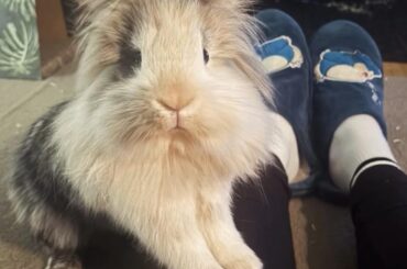 no comment needed😅