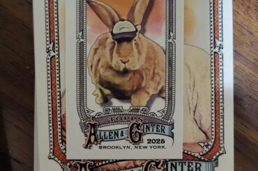 Unexpected hit out of a baseball card pack!