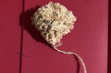 Trouble finding this toy