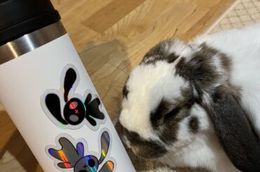 Posing next to my bunny themed waterbottle