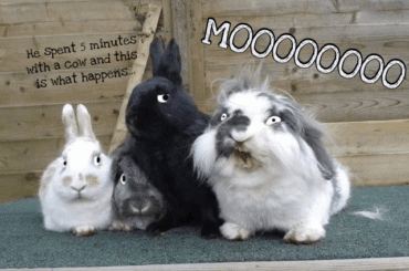 I saw a really funny group pic, so I decided to make it funnier.