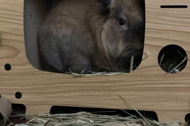 I better sleep with one eye open