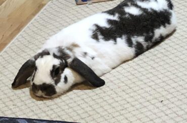 Can someone help me identify this slug