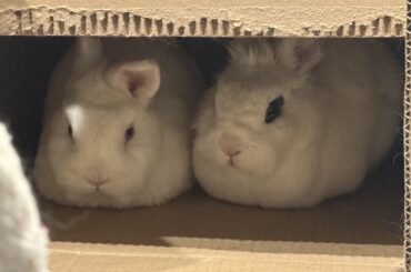 Grumpy Couple Appreciation Post