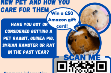 Please help me out with my dissertation!