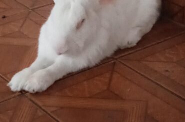 What's this position called?