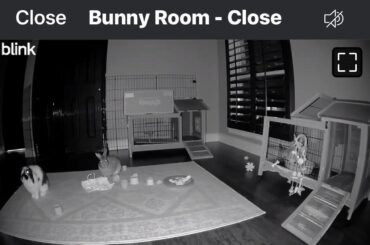 they’re more conscious than i thought