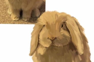 I drew my bunny! Who wants a free bunny - i’m feel unwell and need something to do while resting in bed :)