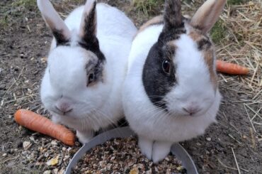 Yes.. we can eat in peace together!