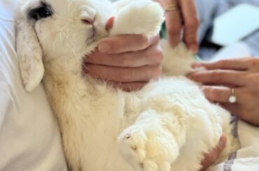 Today was spa day for baby Olive