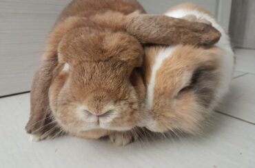 Experience with a true blockage