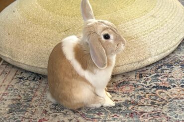 Serious man with serious job.