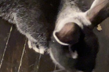 The Doctor won’t hang out with me