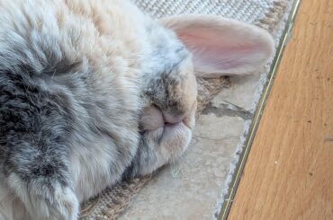 Caught my girl sound asleep