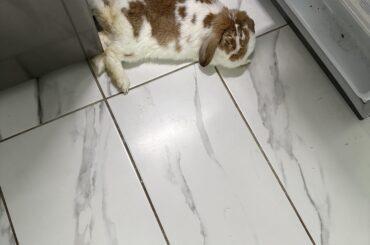 He likes the fridge