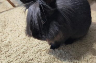 Moooooom, it's not a phase! This is who I am!