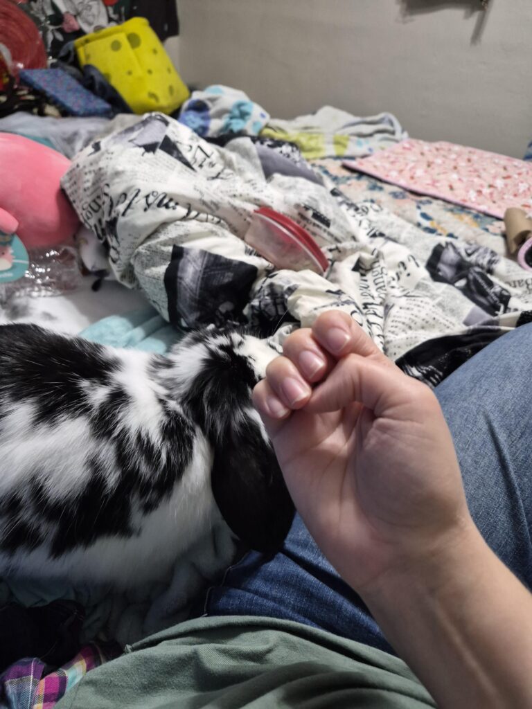 He bit my nail off when I gave him a treat shame him!