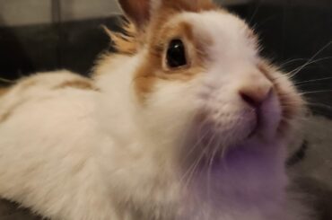 Never thought it would hit me until it did